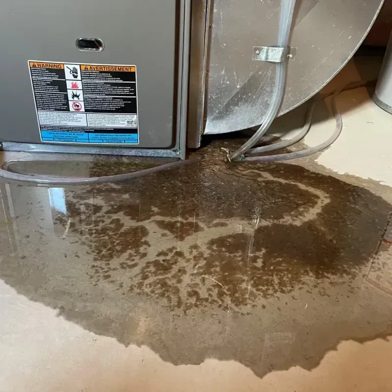 Appliance Leak Cleanup in Woodbury, TN